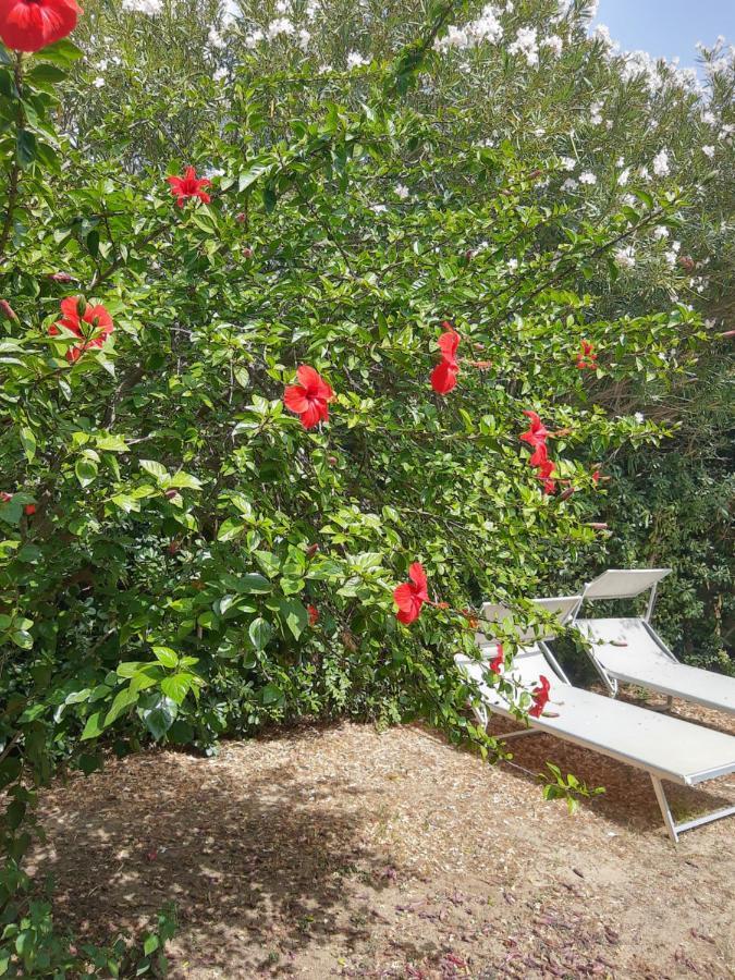 -Exclusive Private Villa- Villasimius Exterior foto