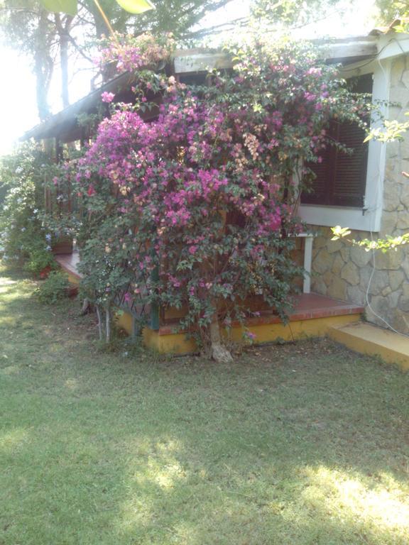-Exclusive Private Villa- Villasimius Exterior foto